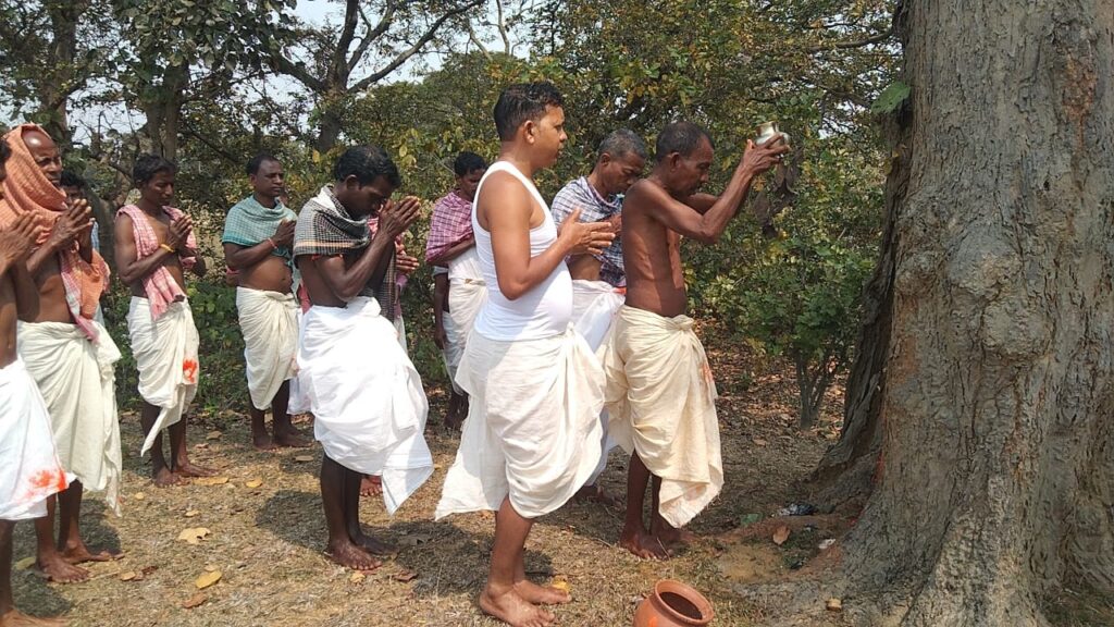 Baha Parab or Baa Parab is a spring festival of Kol Tribe of India. Baha or Baa Means flower of Sal Tree this festival also known as Sarhul. This festival started Between in Feb & March. In Jharkhand & Madhya Pradesh Baha Parab Festival Kol Tribes People wear White cloths to worship of Sal Tree.